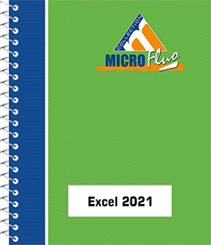 Excel 2021