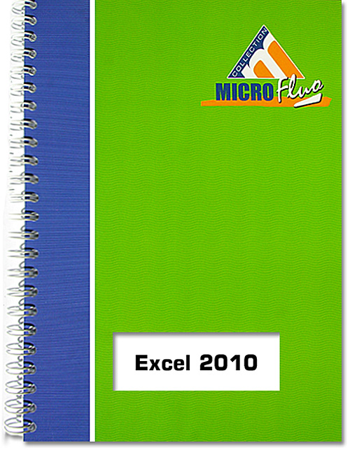 Excel 2010