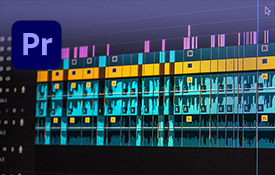 Premiere Pro - Apprenez le montage vidéo